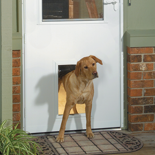 storm doors with dog door